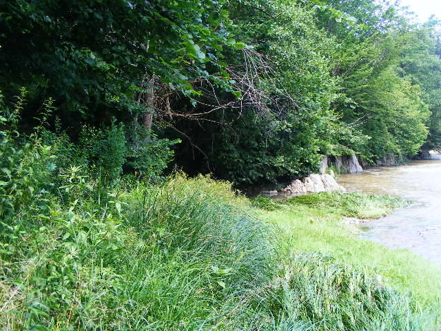 DSCF2620