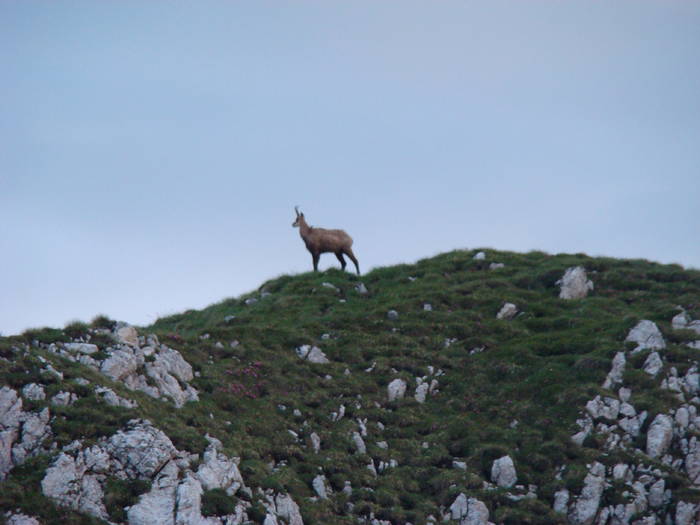 DSC03837 - Concediu 2009