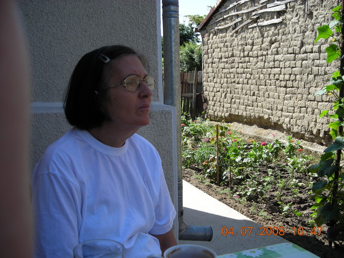 DSCN7268