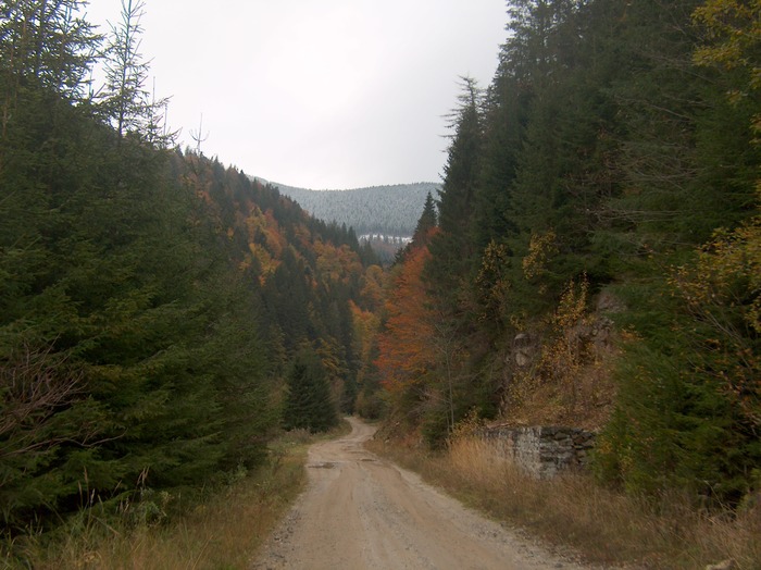 VOINEASA CATARACTE VARFUL CRISTESTI 18.10.2009 401; DRUMUL SPRE VARFUL CRISTESTI, INGEMANAREA TOAMNEI CU IARNA
