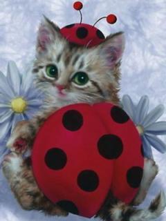 Cat_Ladybug