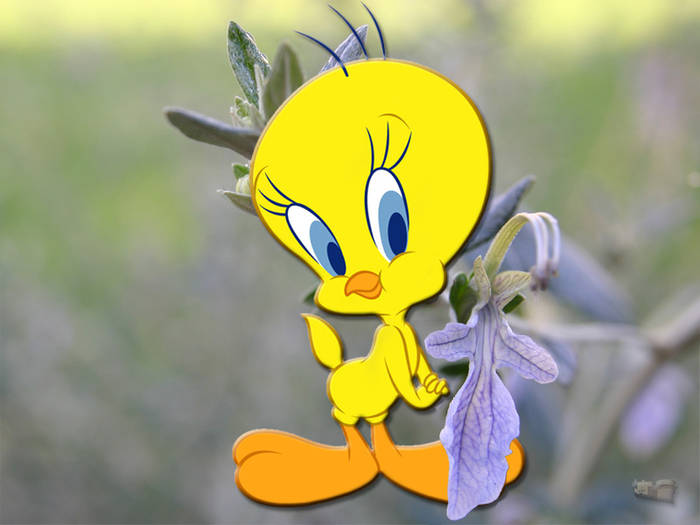 TWQ - Tweety