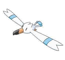 278wingull