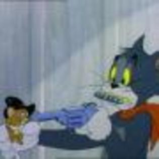 Tom_and_Jerry_1236209244_4_1965 - poze tom and jerry