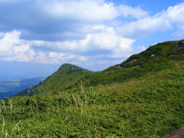 DSCF4423 - 2 august 2009 Traseu Suior Secatura Creasta Cocosului Gutaiul Doamnei  Vf Gutai