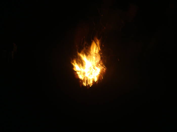 DSC00421