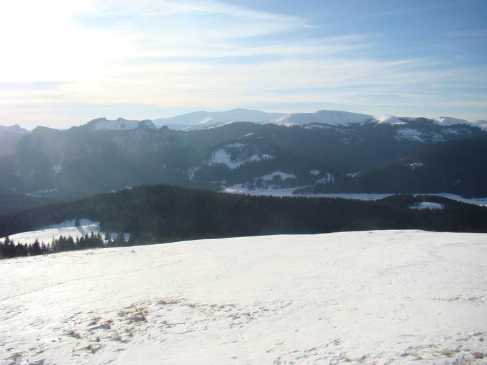 DSC01197 - Bucegi - Valea Izvorul Dorului-Padina