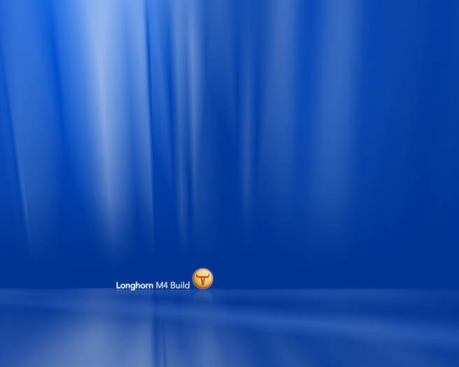 longhornm4 - POZE WINDOWS VISTA
