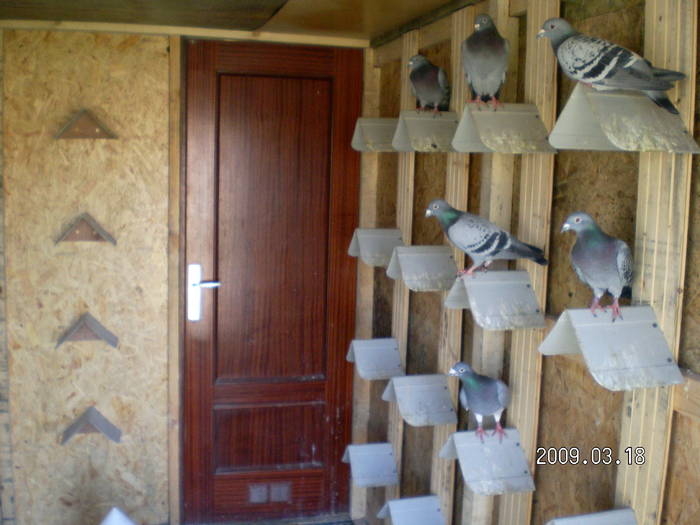 80; compartiment matca
