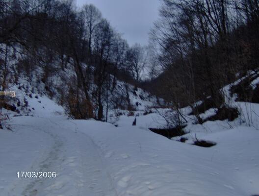 HPIM1145 - Maramures