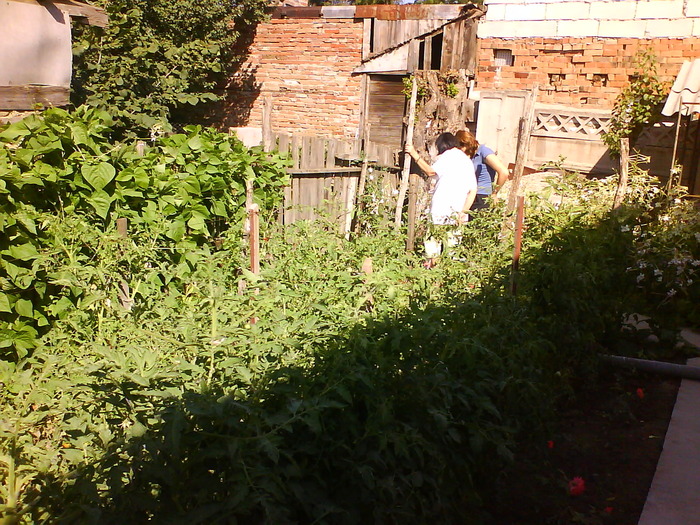 DSC05444