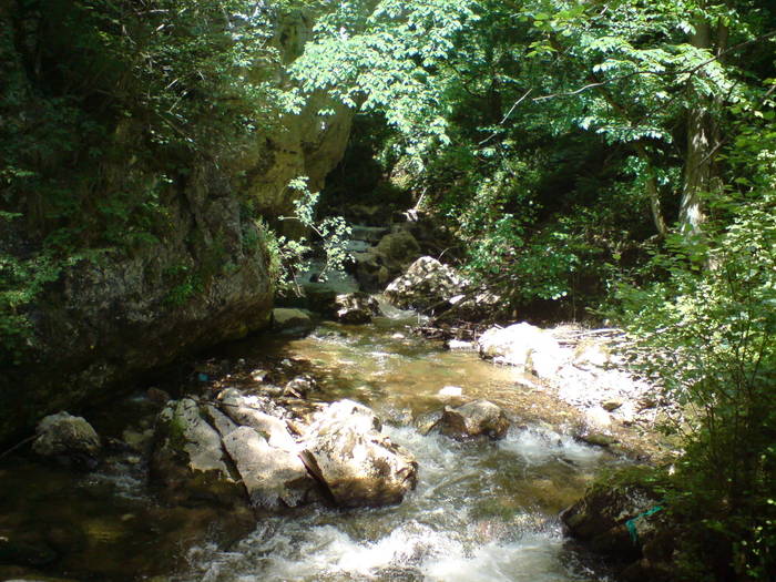 DSC01791; Intrarea in pestera.
