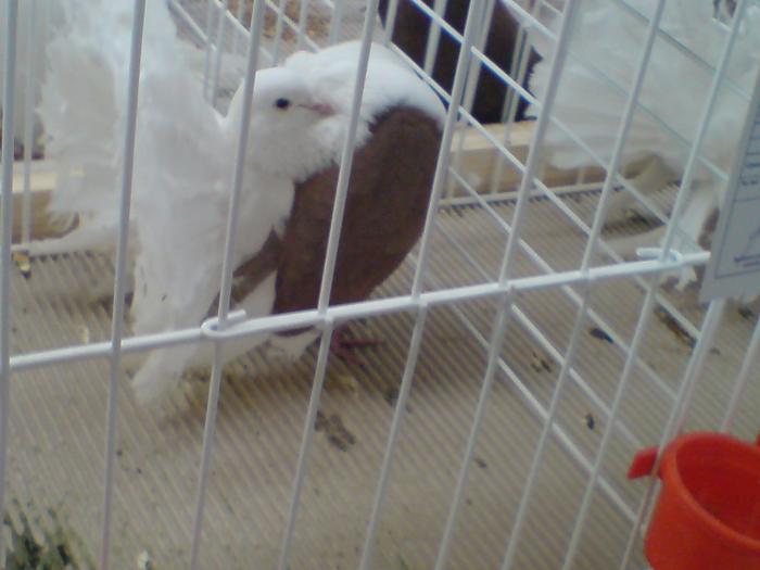 DSC00855