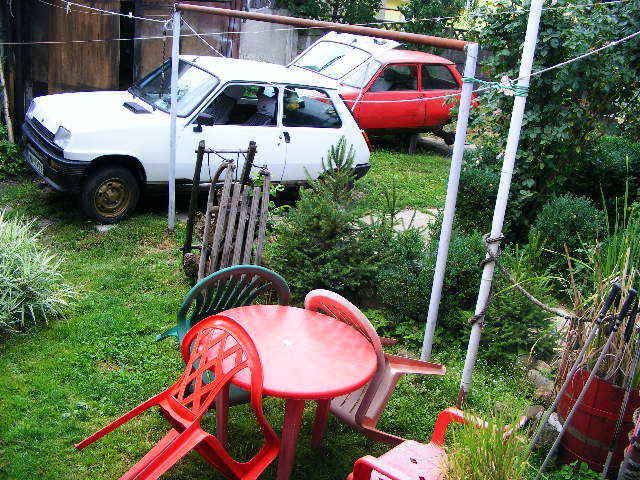 DSCF3381 - Prepelitele mele