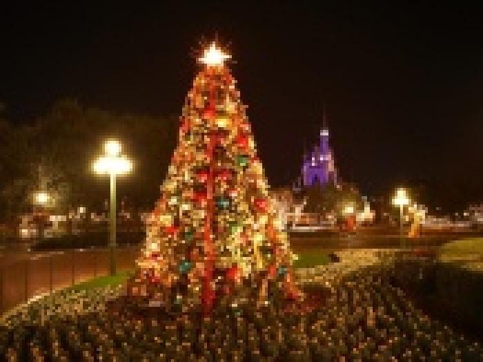 disneyland_christmas-t1