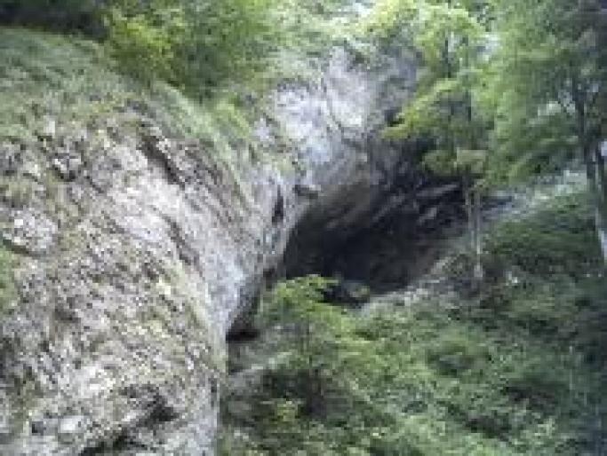 UPKEEWHYVIINLHQUHVI - ROMANIA-2008