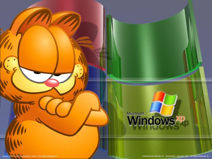 Garfield 2