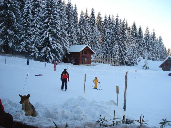 Picture Slovacia Cristi 193 - jogging ski tour club 2