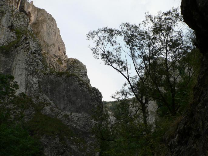 P100086
