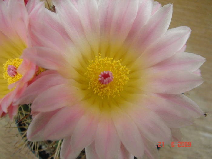 DSC06253