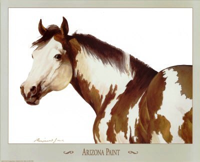 1295~Arizona-Paint-Posters