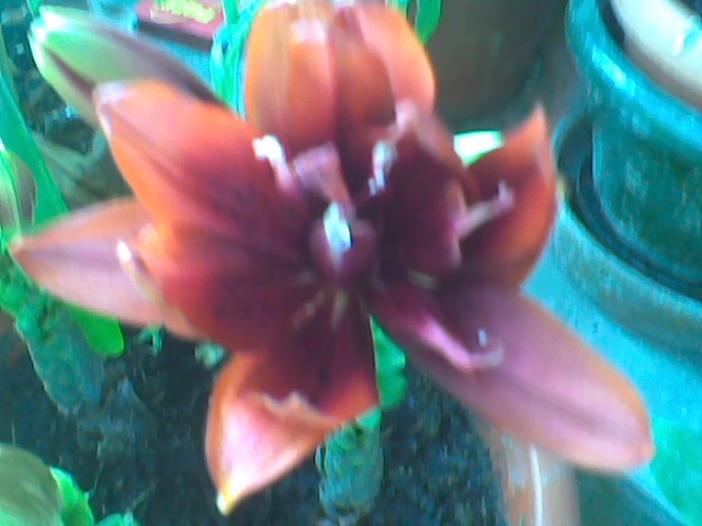 Imag073