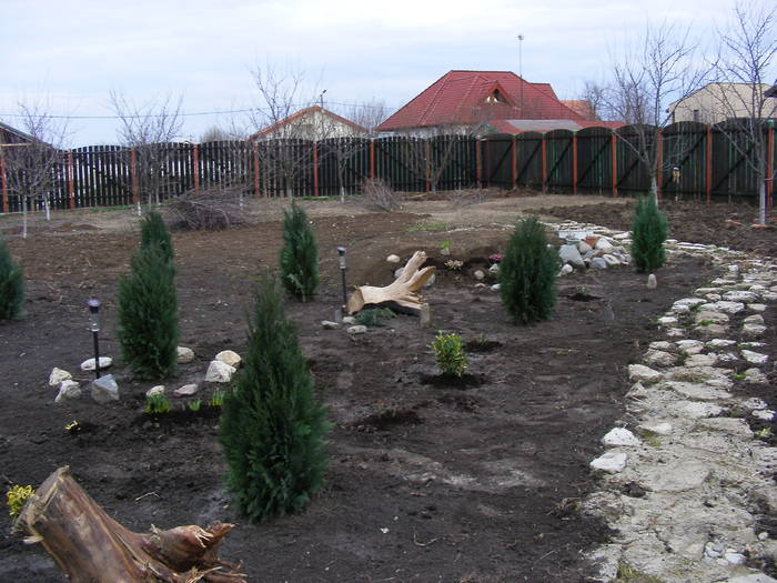 2009_02060023 - Amenajare gradina 2009