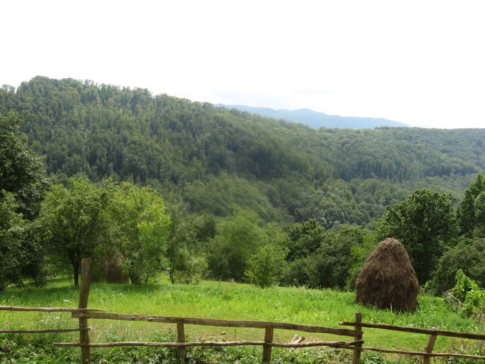 IMG_2314 - prin tara Lapusului- Cheile Babei