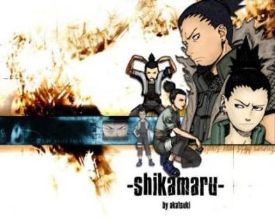 Akatsuki_et_Shikamaru[1]