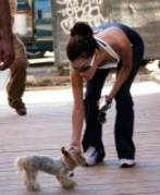 eva_longoria_66 - eva longoria