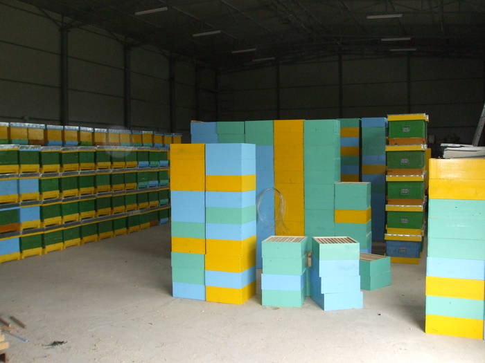 DSCF1292 - Atelierul