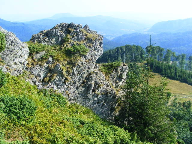 DSCF4495