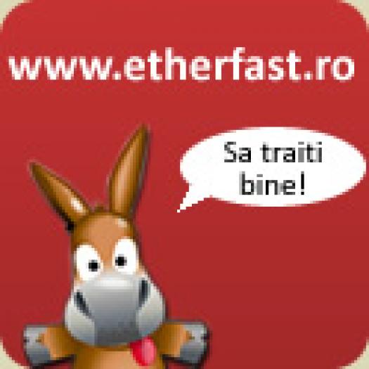 etherfast1[1] - poze