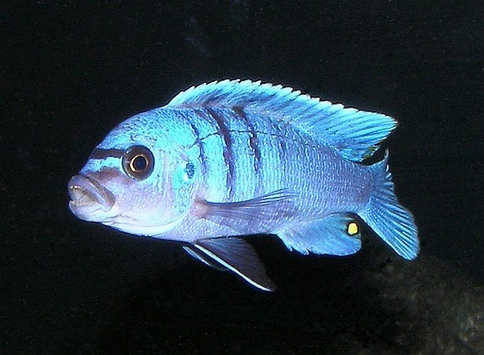 125G289
