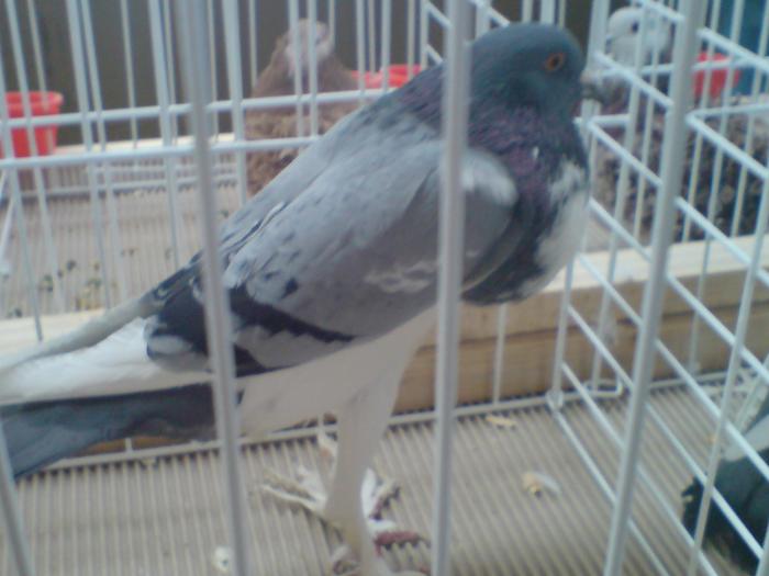 DSC00853