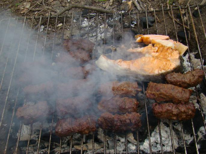 DSC02699 - 2008-03-22 - La padure-Baneasa