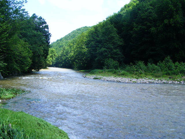 DSCF2619