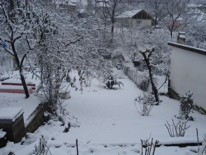 DSC06493 - 2010 REVELION SIBIU