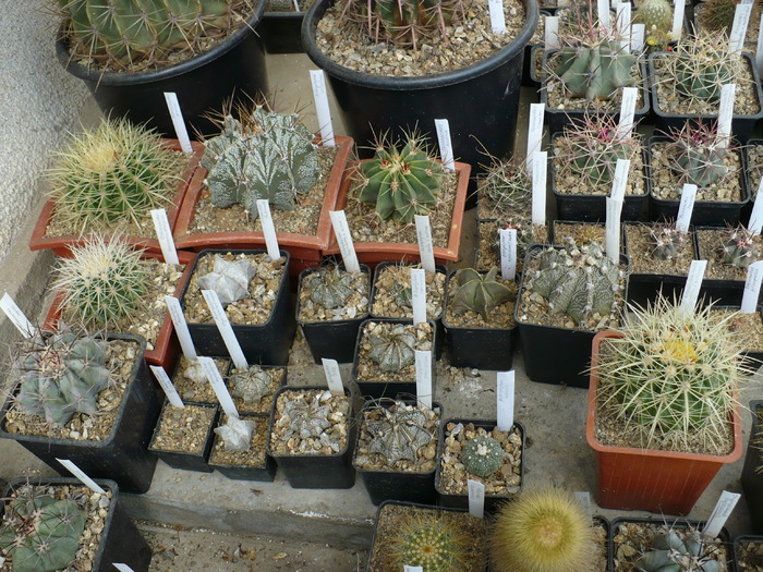 P1000776