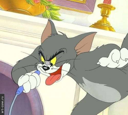 tom_j - Tom si Jerry