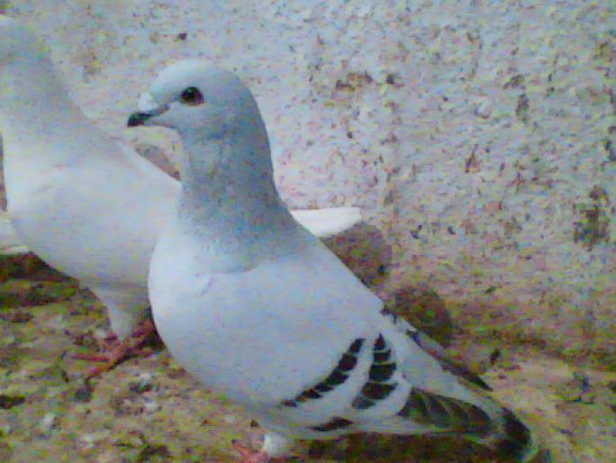 Imag025