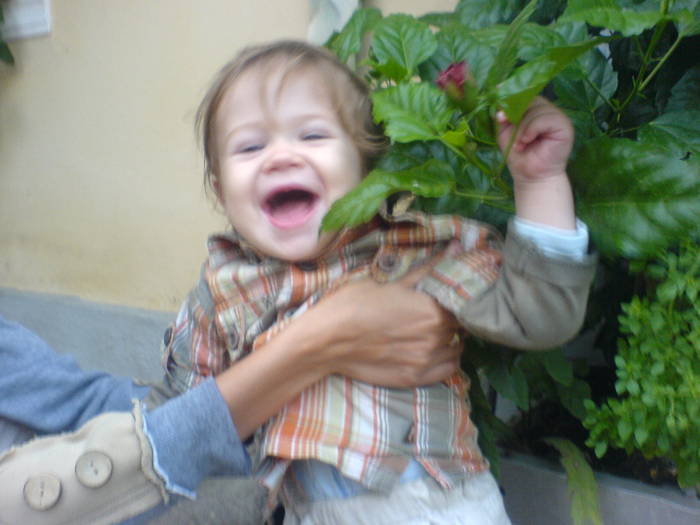DSC02486