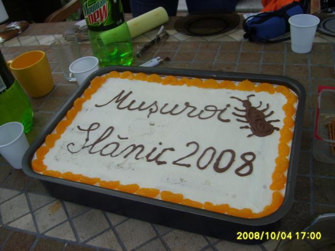 slanic 2008 041 - slanic 2008