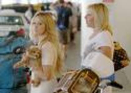 raraa - ASHLEY TISDALE POZE RARE