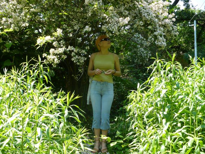 P1010837 - Gradina Botanica mai 2008