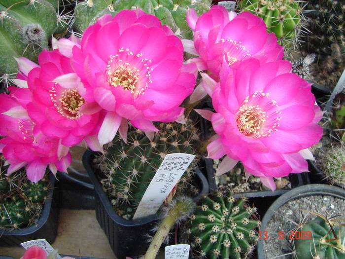 DSC06120