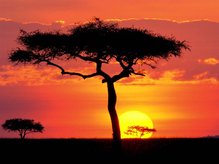 Africa Kenya Peisaje Wallpapers Peisaje Poze Desktop