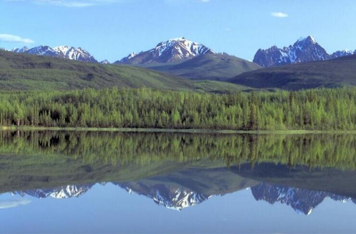 868767677767 - Peisaje