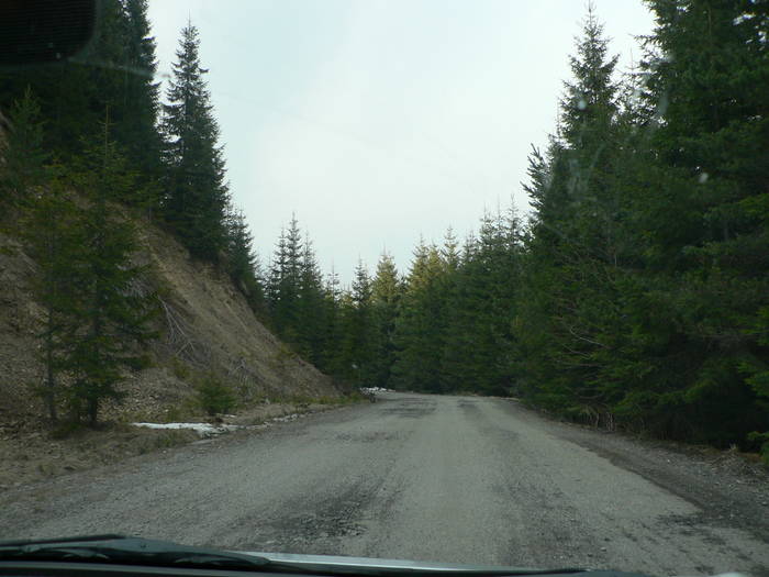 P1040588