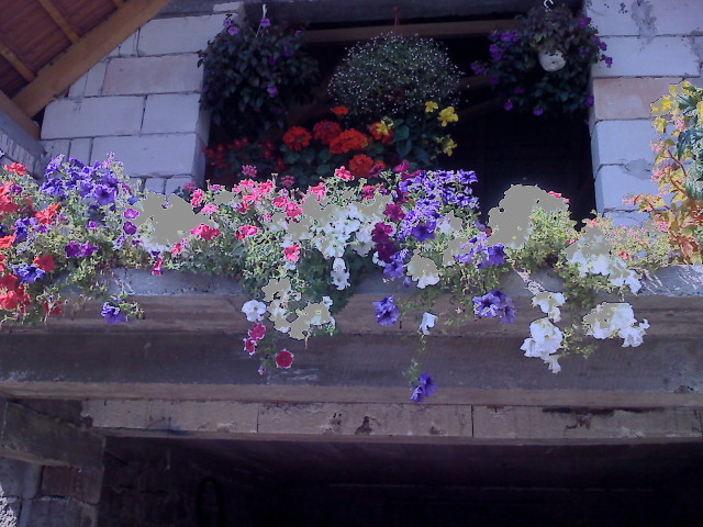 Photo00044 - FLORI 2009